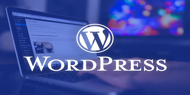 Yếu tố quan trọng để dựng Web bằng WordPress